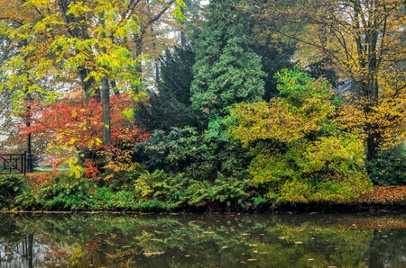 Autumn colorful landscape. Colorful trees and pond in urban park.の写真素材