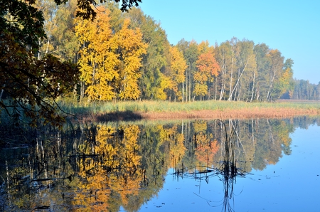 Beautiful autumn landscape. Pond and colorful trees in the forest.の写真素材