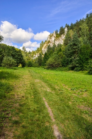 Sunny summer landscape. Beautiful green Jurassic valley in Poland.の写真素材