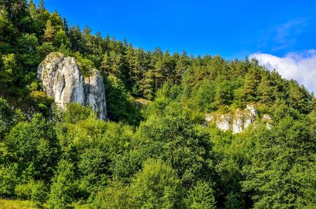 Sunny summer landscape. Beautiful green Jurassic valley in Poland.