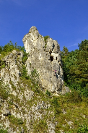 Sunny summer landscape. Beautiful green Jurassic valley in Poland.の写真素材