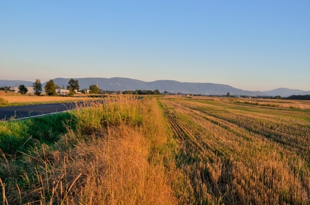 Summer rural landscape. Meadows and mountains in summer evening scene.の写真素材