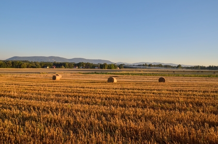 Summer rural landscape. Haystack in a meadow with mountain landscape.の写真素材