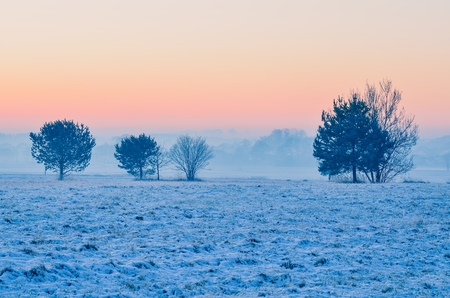 Beautiful winter landscape. Trees on a snowy meadow in the countryside.の写真素材