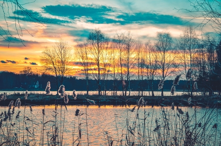 Beautiful sunset on the lake. Trees against the setting sun.の写真素材