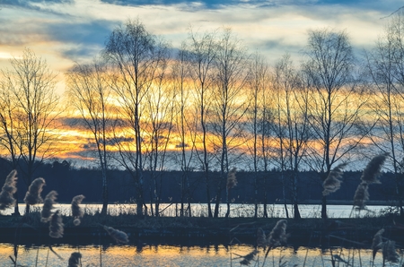 Beautiful sunset on the lake. Trees against the setting sun.の写真素材
