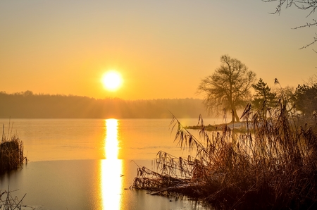 Winter morning landscape. Trees on the peninsula on a beautiful lake.の写真素材