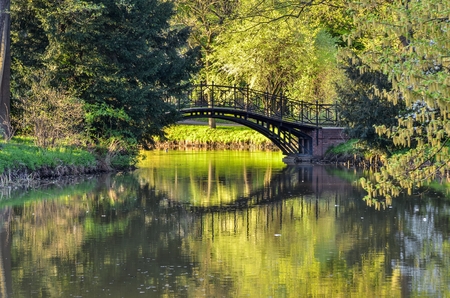 Beautiful spring nature. A bridge in a park by the pond.の写真素材