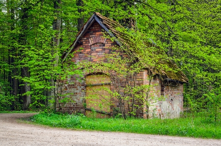Old architecture among green nature. Old destroyed historic bread oven in the forest.の写真素材