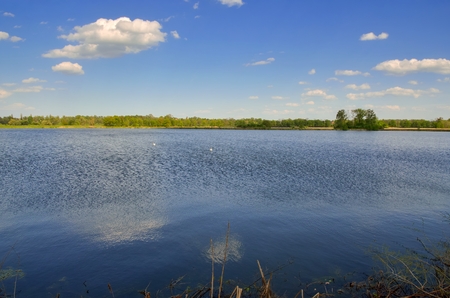 Beautiful spring landscape. Sunny day at the pond in the countryside.の写真素材