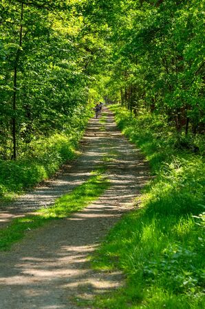 TYCHY, POLAND - MAY 6, 2018: Cyclists on a forest road in Tychy, Poland.のeditorial素材