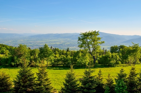 Spring mountain landscape. A beautiful view of the green hills.の写真素材
