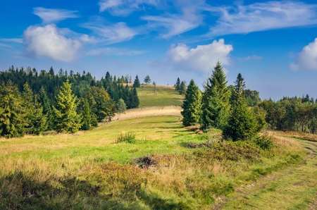 Beautiful summer landscape. Fairytale mountain meadow on a sunny day.の写真素材