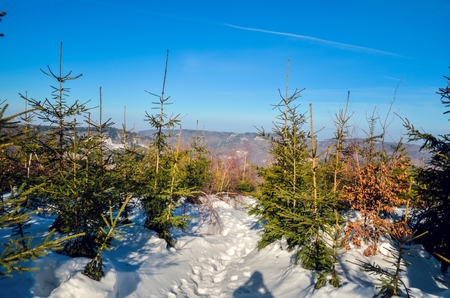 Beautiful winter mountain landscape. Sunny day on the trail in the Polish mountains.の写真素材