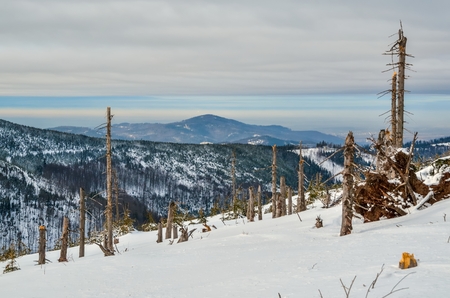 beautiful fairy-tale winter landscape. Trees and white snow on a mountain trail.の写真素材