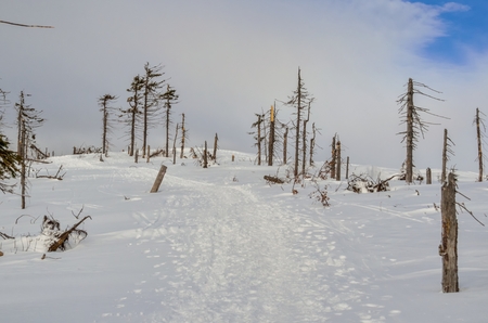 Beautiful fairy-tale winter landscape. Trees and white snow on a mountain trail.の写真素材