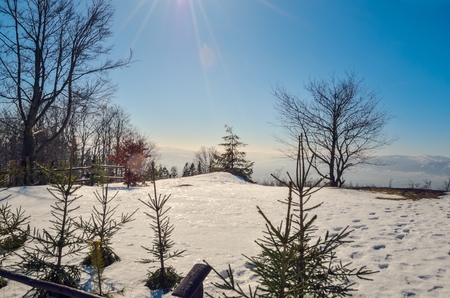 Fabulous winter landscape. Beautiful sunny mountain view in Poland.の写真素材