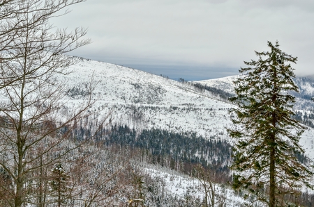 Beautiful winter landscape. Nicely snow-covered slopes in the Polish mountains.の写真素材