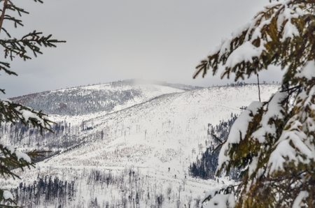 Beautiful winter landscape. Nicely snow-covered slopes in the Polish mountains.の写真素材