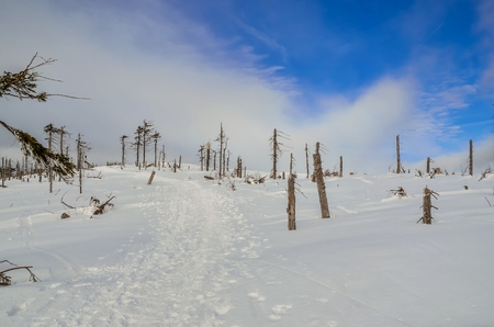 Beautiful fairy-tale winter landscape. Trees and white snow on a mountain trail.の写真素材