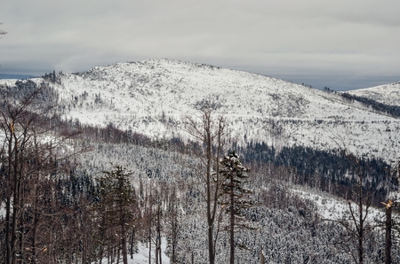 Beautiful winter landscape. Nicely snow-covered slopes in the Polish mountains.の写真素材