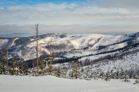 Beautiful winter fairytale landscape. Snow capped trees and slopes in the Polish mountains.の写真素材
