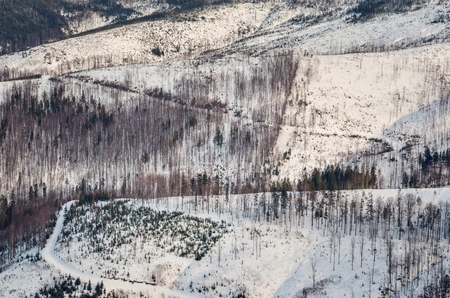 Beautiful winter mountain scenery. Concept for background with winter trails and trees on the hill.の写真素材