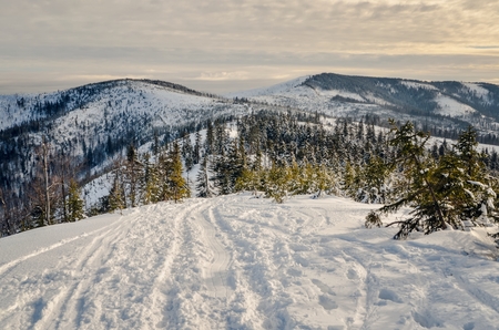 Beautiful winter mountain landscape. Magical snow-covered slopes in the Polish mountains.の写真素材