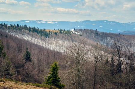Beautiful spring mountain landscape. Mountain landscape on a sunny day.の写真素材