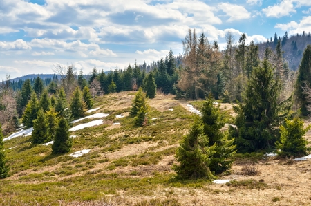 Beautiful spring mountain landscape. Tourist trail in the picturesque mountains.の写真素材