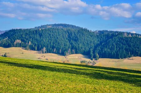 Beautiful spring mountain landscape. Green meadows and trees on the hills.の写真素材
