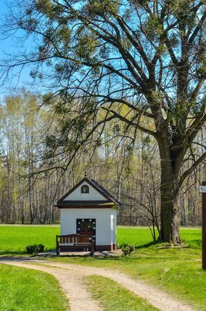 Beautiful spring landscape. Tree and chapel on the glade in the forest.の写真素材
