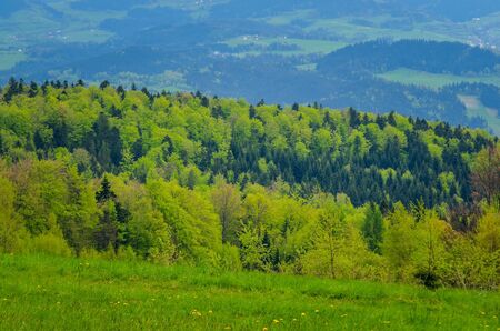 Beautiful green mountain landscape. Spring green trees on the hills.の写真素材