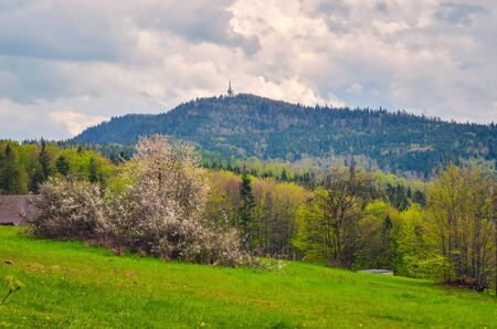 Beautiful spring mountain landscape. Green rural scenery on the hills.の写真素材