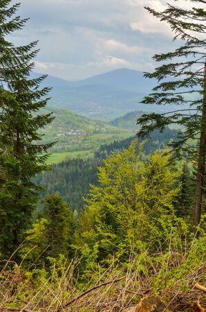 Beautiful spring mountain landscape. View of the village on the hills between trees.の写真素材