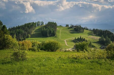 Beautiful spring mountain landscape. Beautifully lit green hill in Poland.の写真素材