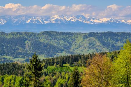 Charming spring mountain landscape. Beautifully snow-covered high peaks over hills.の写真素材
