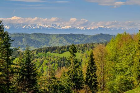 Charming spring mountain landscape. Beautifully snow-covered high peaks over hills.の写真素材