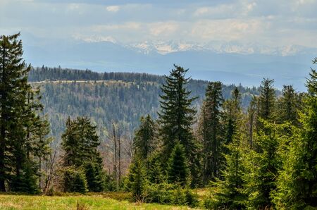 Beautiful mountain spring landscape. Beautifully snow-capped peaks of mountains above green hills.の写真素材