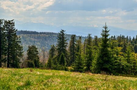 Beautiful mountain spring landscape. Beautifully snow-capped peaks of mountains above green hills.の写真素材