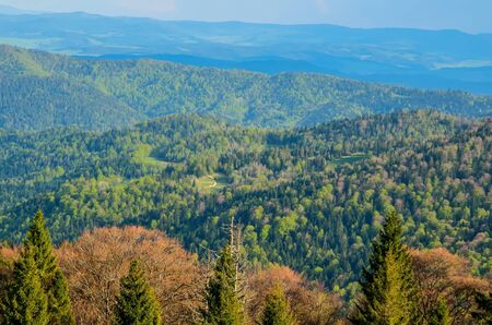 Beautiful spring mountain landscape. Colorful day on the beautiful hills.の写真素材