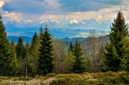 Beautiful mountain spring landscape. Beautifully snow-capped peaks of mountains above green hills.の写真素材