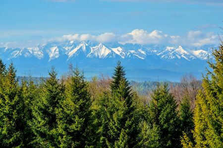 Charming spring mountain landscape. Beautifully snow-covered high peaks over hills.の写真素材