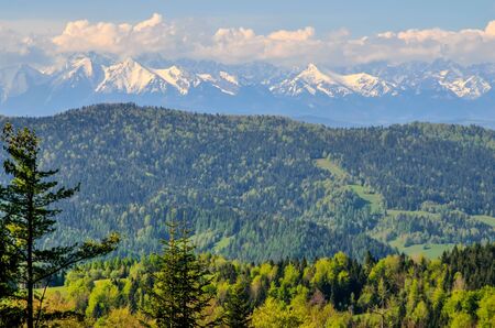 Charming spring mountain landscape. Beautifully snow-covered high peaks over hills.の写真素材