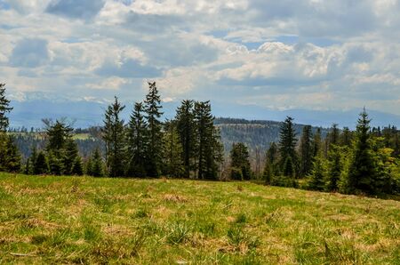 Beautiful mountain spring landscape. Beautiful peaks and charming valleys and hills.の写真素材