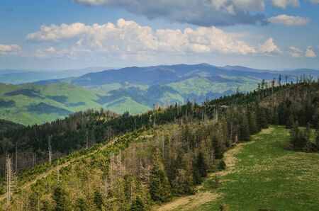 Amazing spring mountain landscape. Shadows and lights on the trees in the hills.の写真素材