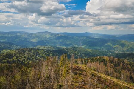 Amazing spring mountain landscape. Fairytale green hills in the countryside.の写真素材