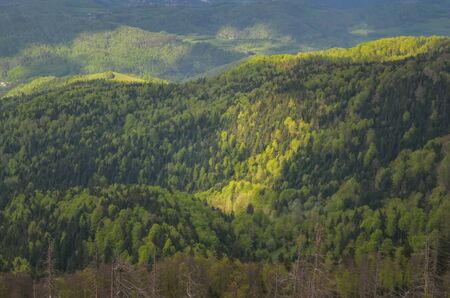 Beautiful spring mountain landscape. Nicely lit by the sun green forests on the hills.の写真素材