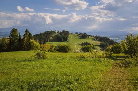 Beautiful spring mountain landscape. Beautifully lit green hill in Poland.の写真素材