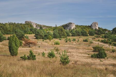 Sunny summer landscape. Beautiful rocks between the green hills.の写真素材